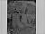 NEG10202