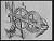 NEG11165