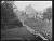 NEG11407