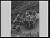 NEG12065
