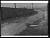 NEG12654