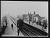 NEG14005