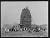 NEG14024