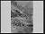 NEG14855