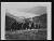 NEG15352