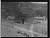 NEG15538