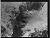 NEG15540