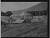 NEG15541