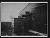 NEG16819