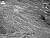 NEG1753