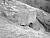 NEG1754