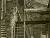 NEG183956