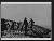 NEG18464