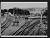 NEG19084