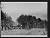 NEG19089