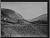 NEG19329