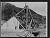 NEG19334