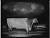 NEG19529