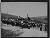 NEG19555