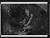 NEG19874