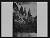 NEG25190