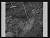 NEG25356
