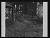 NEG25357