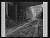 NEG25358
