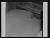 NEG25365