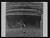 NEG25384