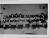 NEG5594