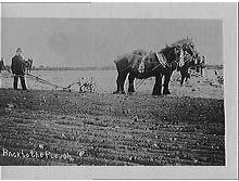 Ploughing Match